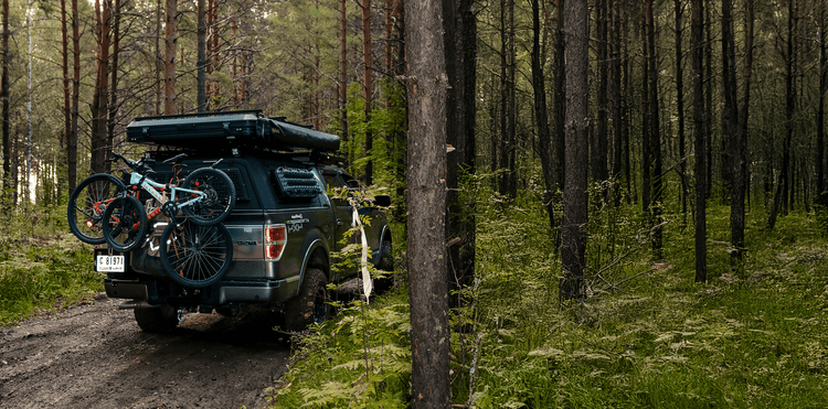 Frequently Asked Questions