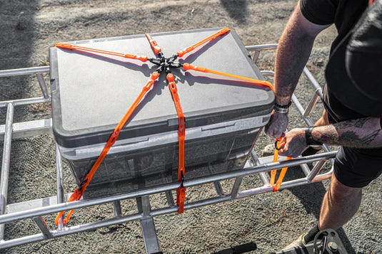 The Perfect Bungee 36