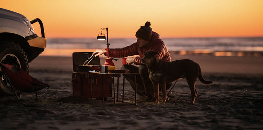 iKamper Detachable Telescopic Light Stand