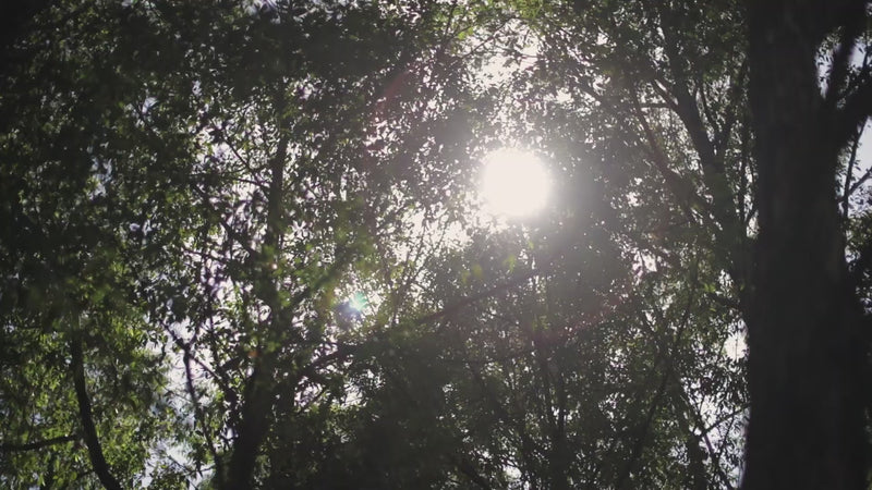 Load and play video in Gallery viewer, Rhino-Rack Pioneer Grab Handles (X2)
