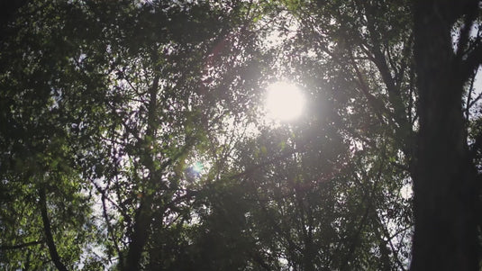 Rhino-Rack Pioneer Grab Handles (X2)