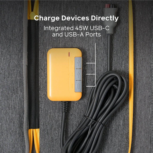 BioLite Solarpanel 100